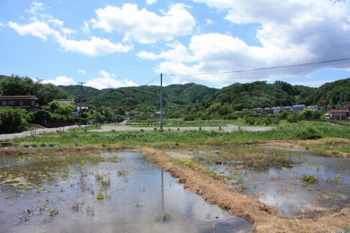 6101 福島県福島市花見山公園の情報 2016年6月1日