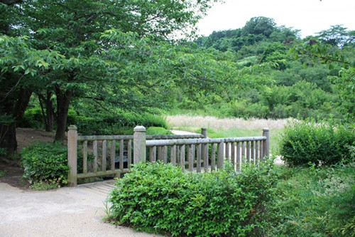 6235 福島県福島市花見山公園の情報 2016年6月15日 