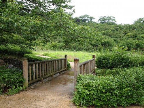 160706h6　福島県福島市花見山公園の情報 2016年7月6日　案内所側の橋