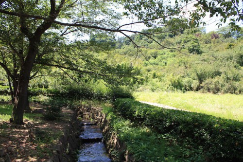 福島県福島市花見山公園の情報 2016年8月4日