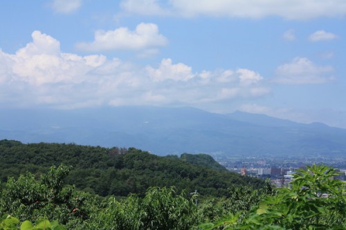 福島県福島市花見山公園の情報 2016年8月4日