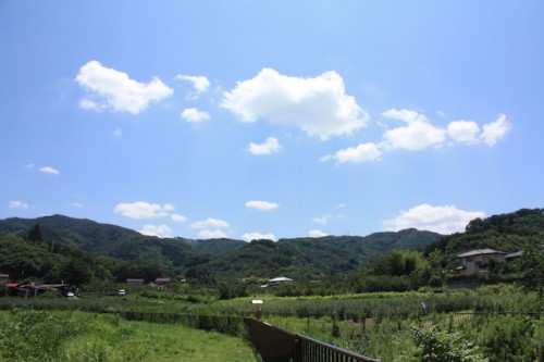 福島県福島市花見山公園の情報 2016年8月4日