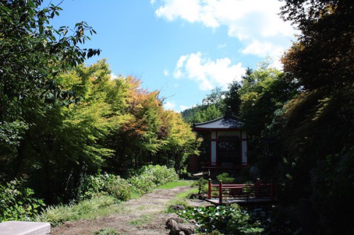 福島県福島市花見山公園の情報 2016年8月31日 IMG_6779