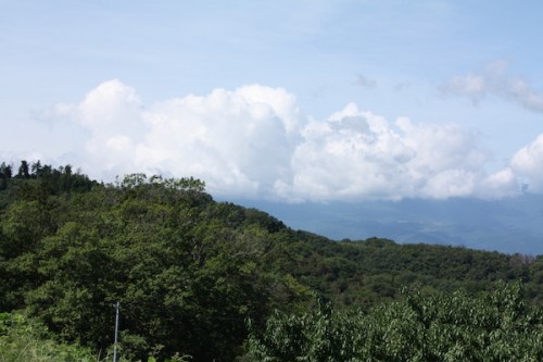 福島県福島市花見山公園の情報 2016年9月15日 IMG_6801