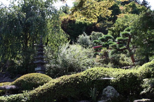 福島県福島市花見山公園の情報 2016年9月15日 IMG_6804