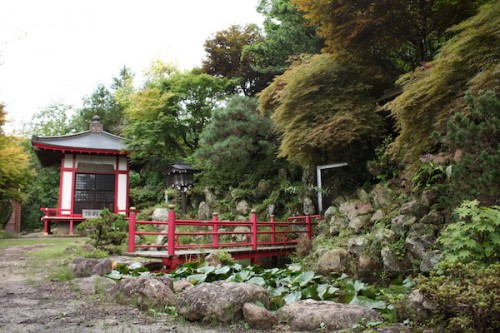 福島県福島市花見山公園の情報 IMG_6906