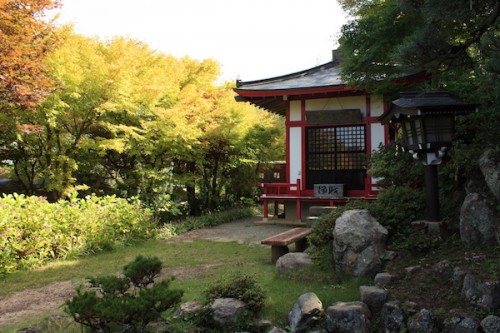 福島県福島市花見山公園の情報 IMG_7054