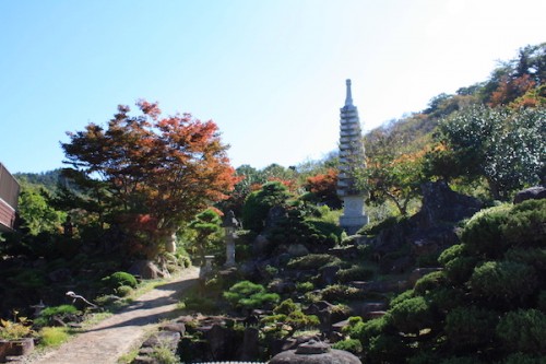 福島県福島市花見山公園の情報2016年10月21日 IMG_7149