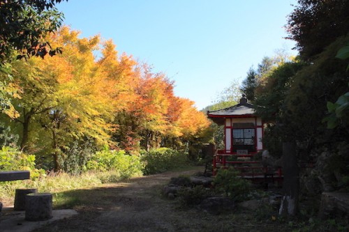 福島県福島市花見山公園の情報2016年10月21日 IMG_7156