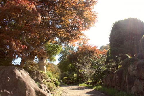 福島県福島市花見山公園の情報2016年10月21日 IMG_7192