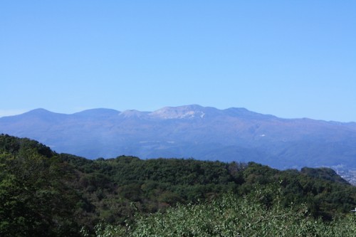 福島県福島市花見山公園の情報2016年10月21日 IMG_7207