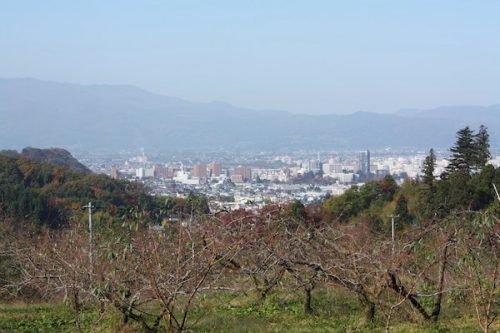 福島県福島市花見山公園の情報2016年11月7日 img_7357