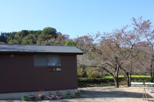 福島県福島市花見山公園の情報2016年11月7日 img_7362