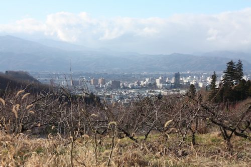 福島県福島市花見山公園の情報2016年12月2日 img_7581