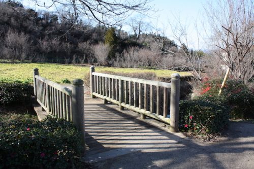 福島県福島市花見山公園の情報2016年12月21日 IMG_7623