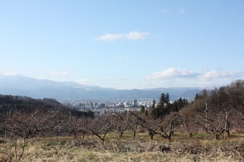 福島県福島市花見山公園の情報2016年12月21日 IMG_7674