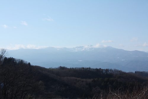 福島県福島市花見山公園の情報2016年12月21日 IMG_7680