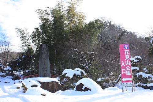 福島県福島市花見山公園の情報2017年1月17日 IMG_7706