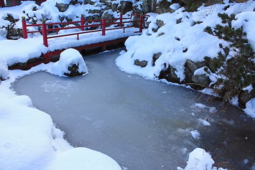 福島県福島市花見山公園の情報2017年1月17日 IMG_7726