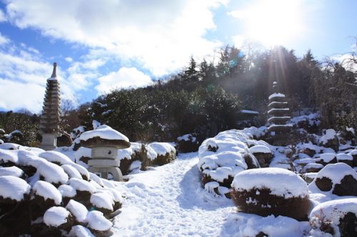 福島県福島市花見山公園の情報2017年1月17日 IMG_7729