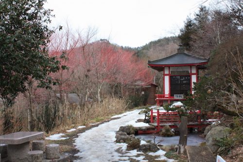 福島県福島市花見山公園の情報2017年2月22日 IMG_7760