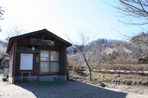 福島県福島市花見山公園の情報2017年3月17日 IMG_7804