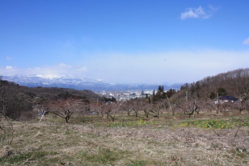 福島県福島市花見山公園の情報2017年3月17日 IMG_7829