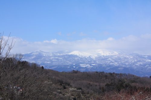 福島県福島市花見山公園の情報2017年3月17日 IMG_7834