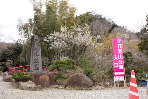 福島県福島市花見山公園の情報2017年3月31日 IMG_7842