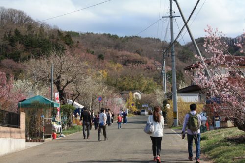 花見山へ向かう人々