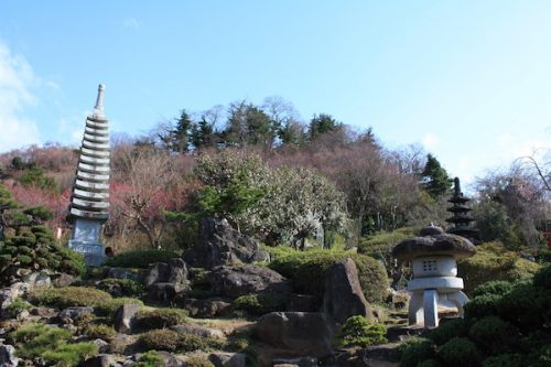 福島県福島市花見山公園の情報2017年4月7日 IMG_7981