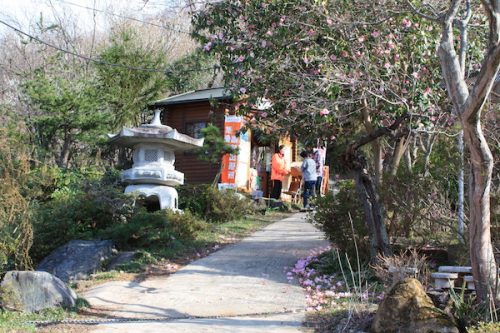 福島県福島市花見山公園の情報2017年4月7日 IMG_7983