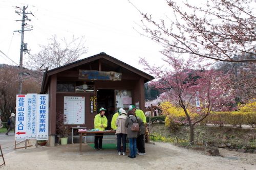 福島県福島市 花見山公園の情報2017年4月13日 IMG_8045