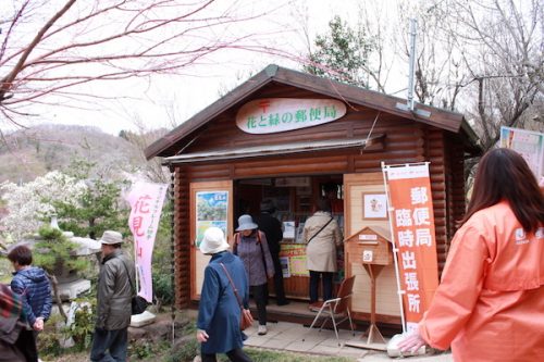 福島県福島市 花見山公園の情報2017年4月13日 IMG_8051