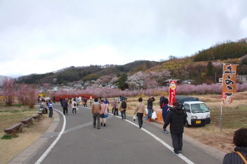 福島県福島市 花見山公園の情報2017年4月13日 IMG_8090