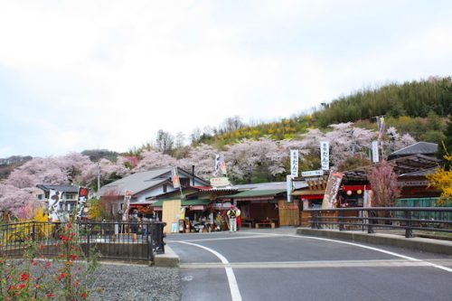 福島県福島市 花見山公園の情報2017年4月18日 IMG_8126