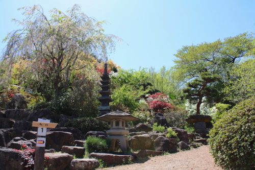 福島県福島市 花見山公園の情報2017年5月2日 IMG_8684