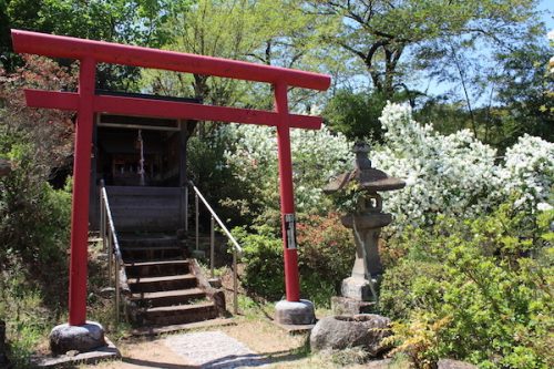 福島県福島市 花見山公園の情報2017年5月2日 IMG_8691