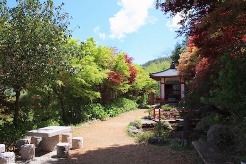 福島県福島市 花見山公園の情報2017年5月2日 IMG_8692