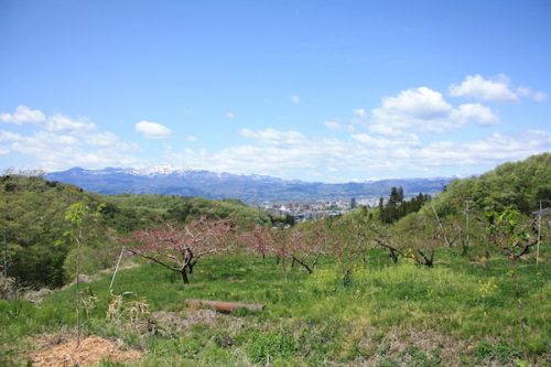 福島県福島市 花見山公園の情報2017年5月2日 IMG_8734