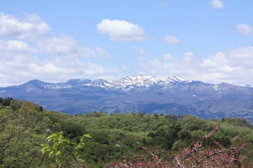 福島県福島市 花見山公園の情報2017年5月2日 IMG_8737