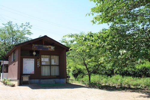 福島県福島市 花見山公園の情報2017年5月29日 IMG_8896