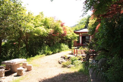 福島県福島市 花見山公園の情報2017年5月29日 IMG_8912