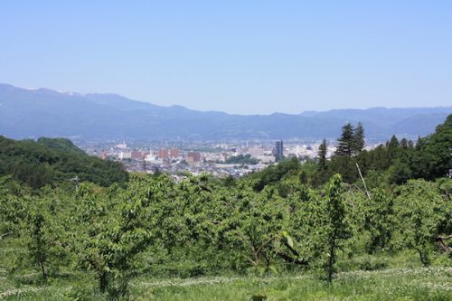 福島県福島市 花見山公園の情報2017年5月29日 IMG_8943