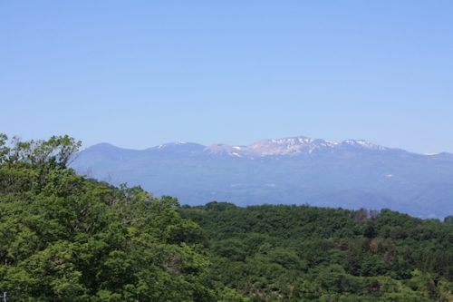 福島県福島市 花見山公園の情報2017年5月29日 IMG_8945