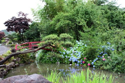 福島県福島市 花見山公園の情報2017年7月4日 IMG_9072