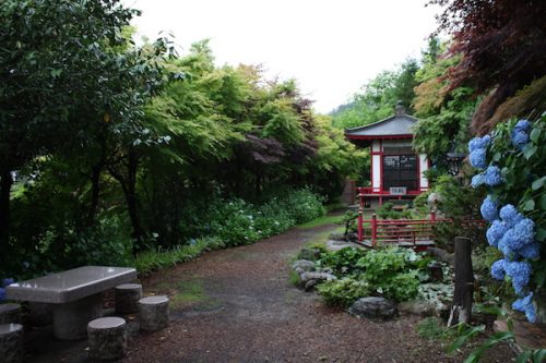 福島県福島市 花見山公園の情報2017年7月4日 IMG_9083