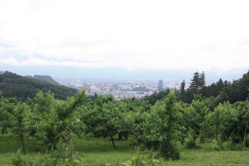 福島県福島市 花見山公園の情報2017年7月4日 IMG_9095