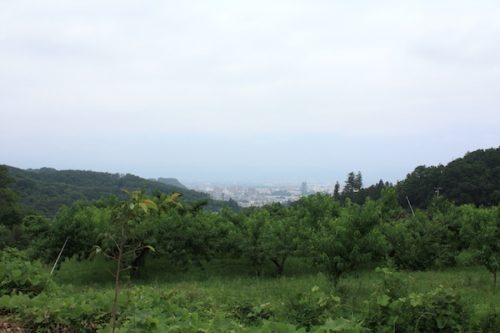 福島県福島市 花見山公園の情報2017年7月20日 IMG_9161