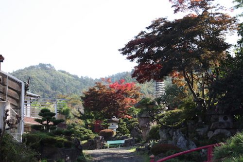 福島県福島市 花見山公園の情報2017年10月24日 IMG_9433